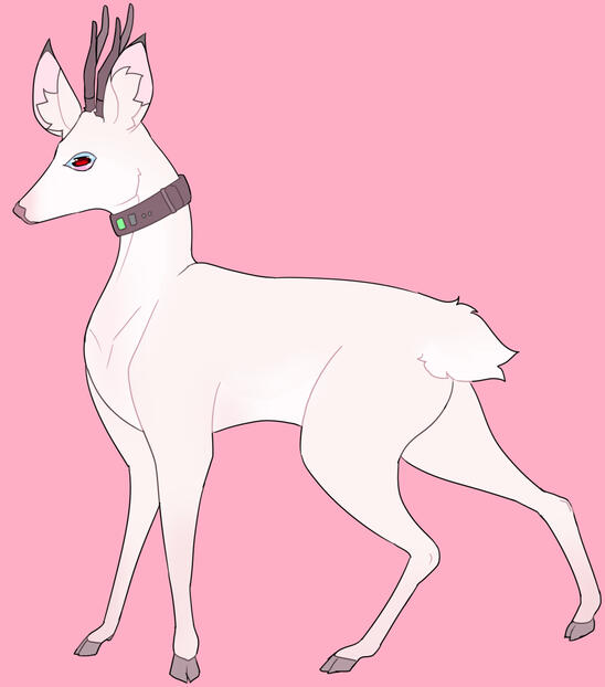 character owned by Koyoki